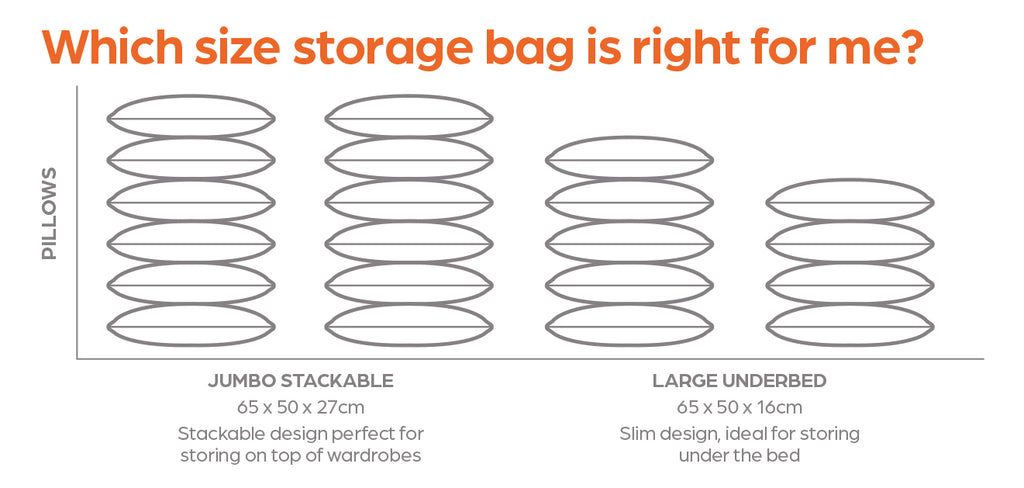Large Underbed Vacuum Storage Tote